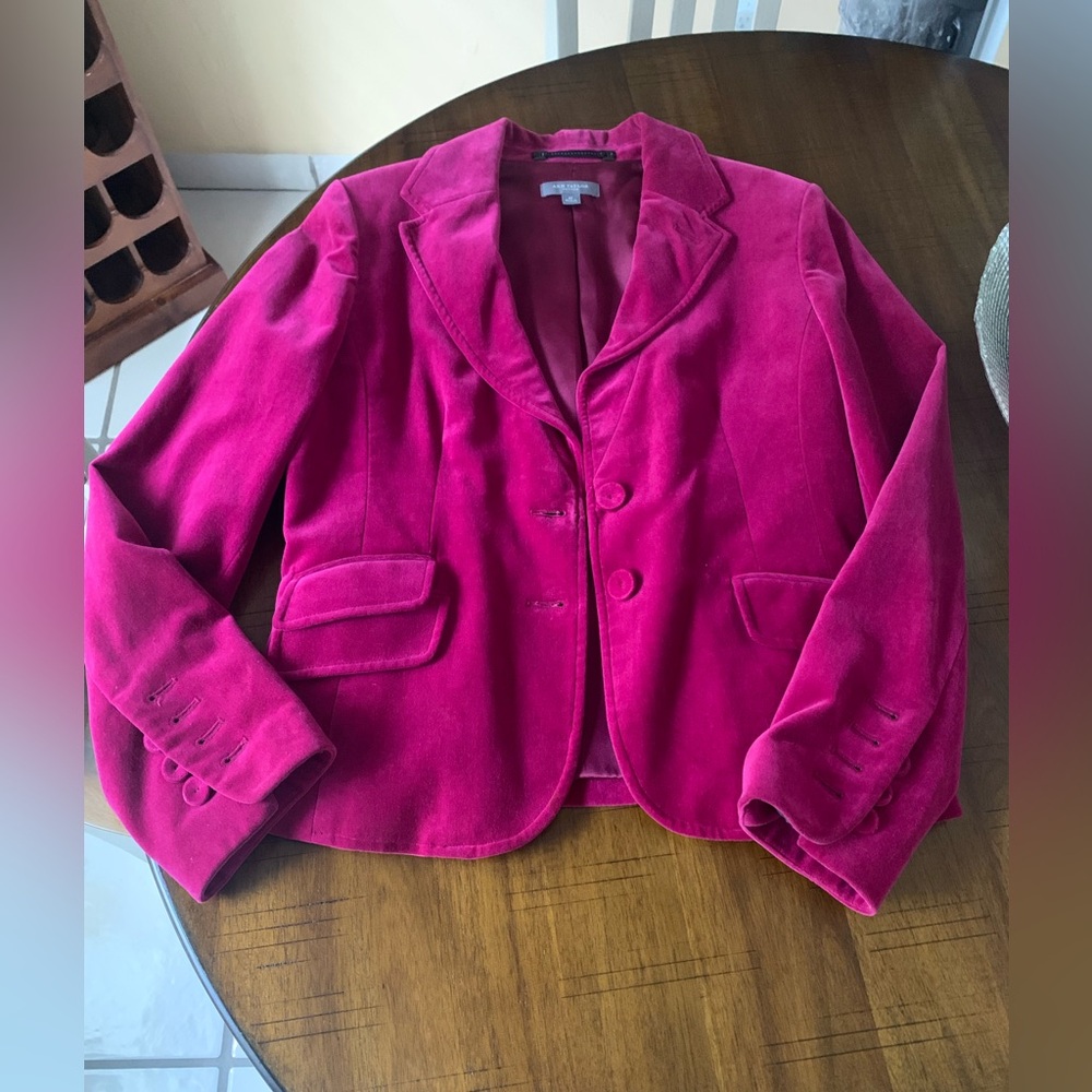 Ann Taylor Petites Fuchsia Velvet Jacket Size 6P